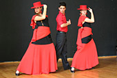 Pasin Flamenca